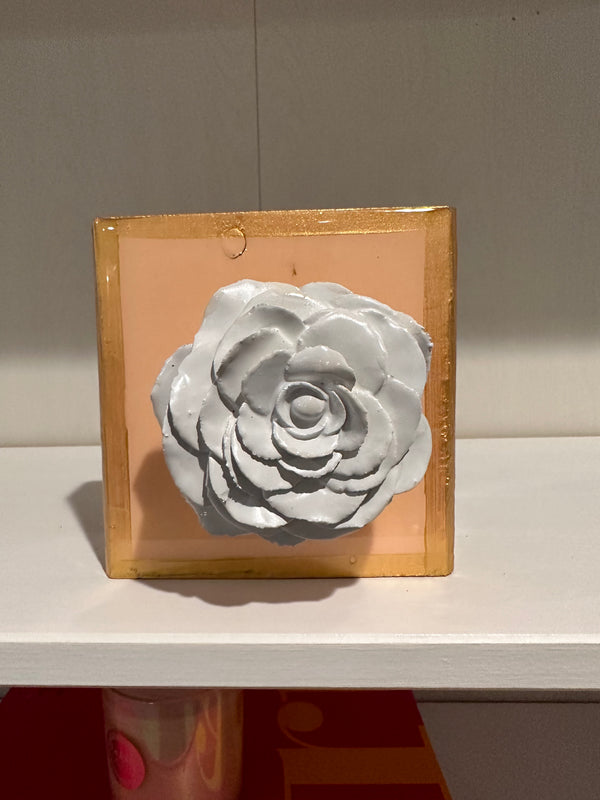 Coral Rose