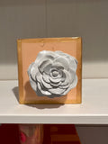 Coral Rose