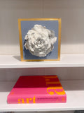 French Blue Giant Rose