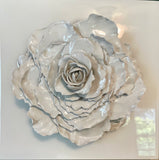 Giant Peony 2