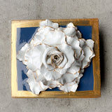 Wedgewood Special Rose