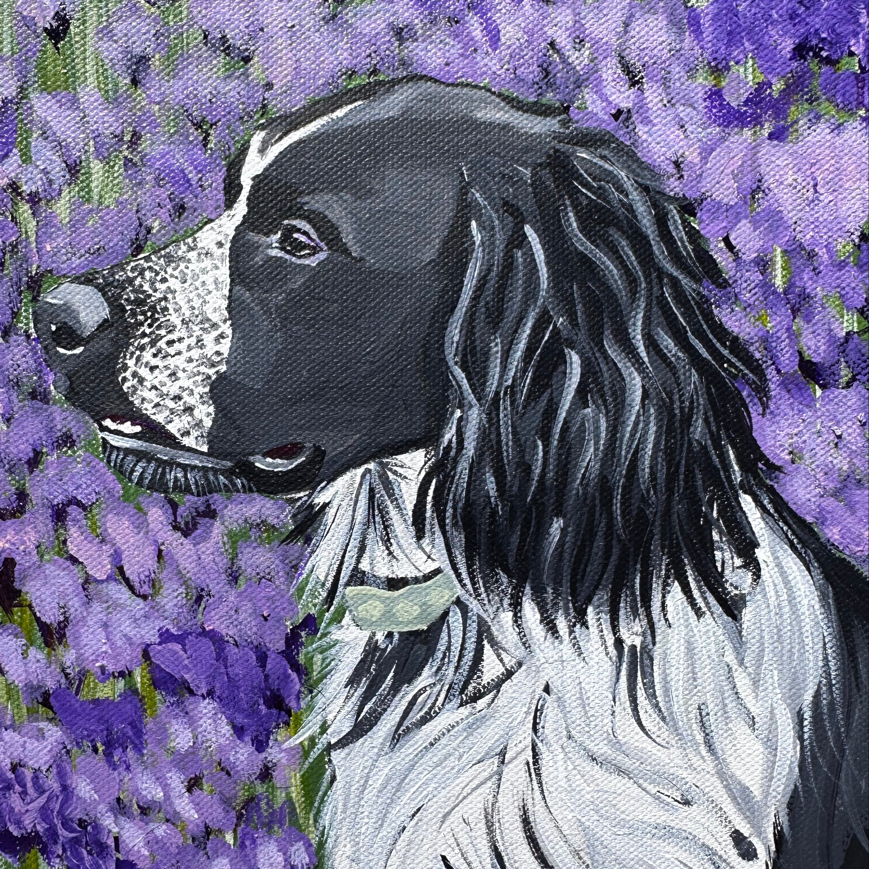Horse lying among purple flowers with a textured background