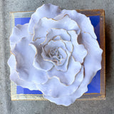 Periwinkle Flower