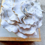 Sea Salt Flower