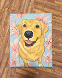 Lilly