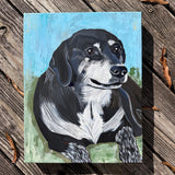 Pet Portrait Commission