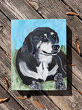 Pet Portrait Commission