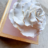 Ash Pink Rose