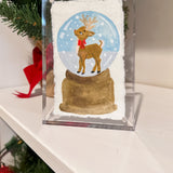 Snowglobe Series
