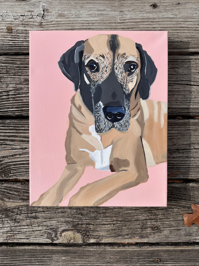 Dog Commission