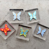 Acrylic Butterflies