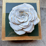 Green Rose