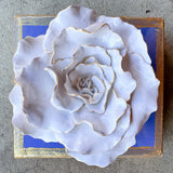 Periwinkle Flower