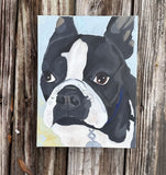 Pet Commission