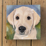 Murphy