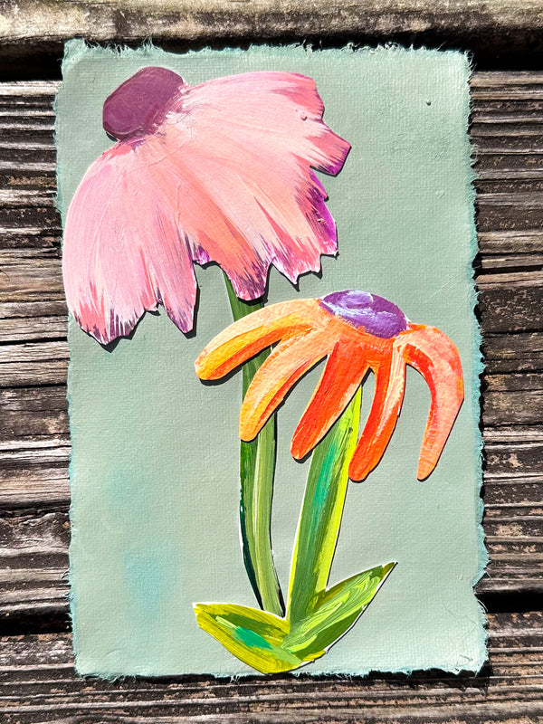 Wildflowers in the Field