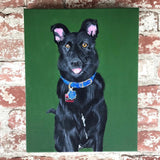Custom Dog