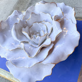 Periwinkle Flower