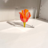 Mini Acrylic Flowers