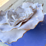 Periwinkle Flower