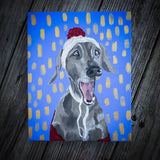 Pet Portrait