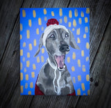 Pet Portrait