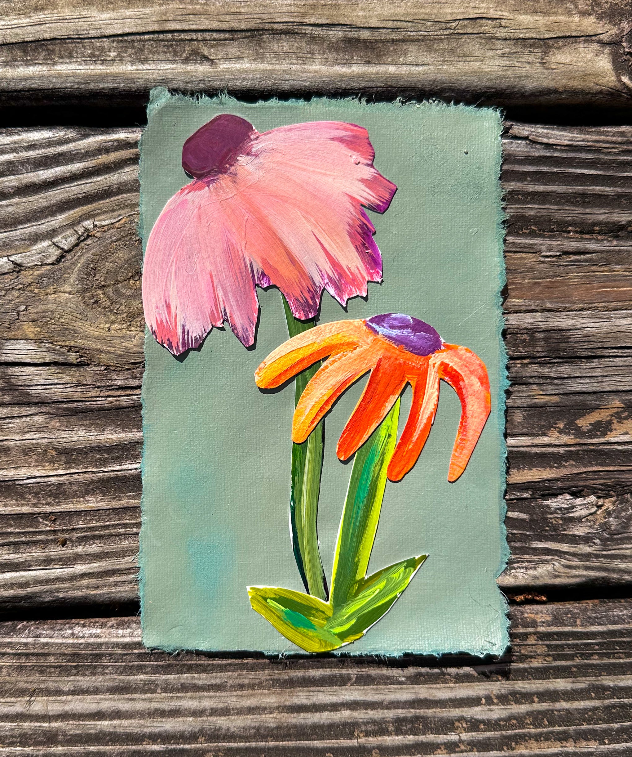 Wildflowers in the Field