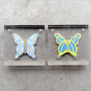 Acrylic Butterflies