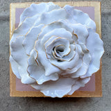 Ash Pink Rose