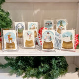 Snowglobe Series