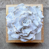 Sea Salt Flower
