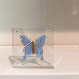Blue and Periwinkle Butterfly