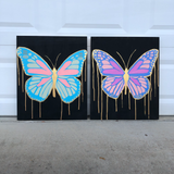 Spread Your Wings