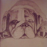 Baby Bully