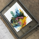 Jellyfish