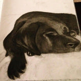 Sleeping Puppy