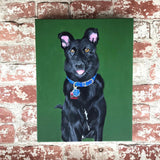 German Shepard