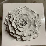Giant Peony 1