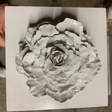 Giant Peony 2