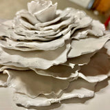 Giant Peony 2