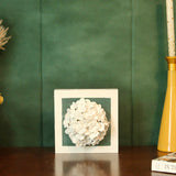 Green Hydrangea