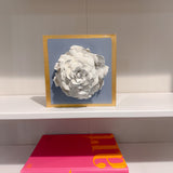 French Blue Giant Rose