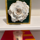 Green Special Rose