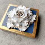 Wedgewood Special Rose