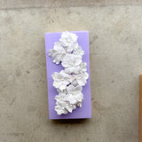 Cherry Blossom