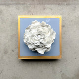 French Blue Giant Rose