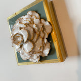 Sage Green Special Rose