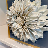 Wedgewood Blue Giant Dahlia
