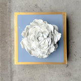 French Blue Giant Rose