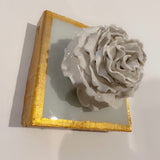 Sea Salt Special Rose